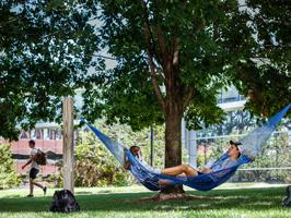 view of a student in a hammock on the quad